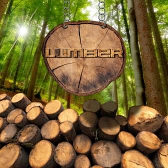 Timber_IS